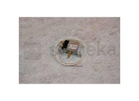 Thermostat 49026711