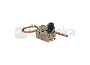 Thermostat 500660