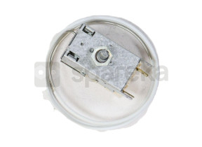 Thermostat 50084393003