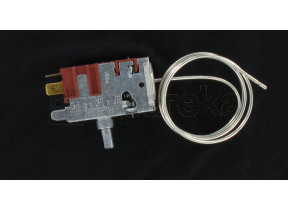 Thermostat 596249