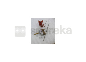 Thermostat 818731627