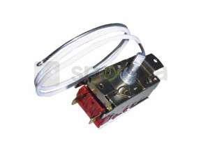 Thermostat C00019881