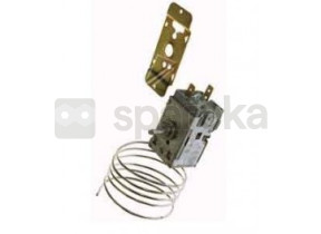 Thermostat C00105024