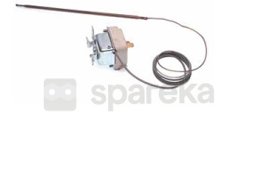 Thermostat fixe 550°c C00139834