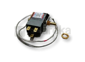 Thermostat FKE000390