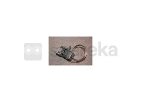 Thermostat + support invensy 484000008564