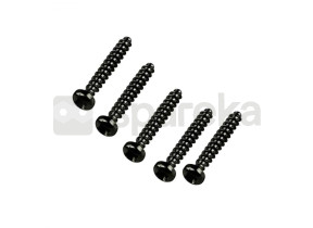 Vis 4*25 mm (paquet de 5) R0638900