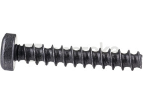Vis a tete bombee torx 2603490024