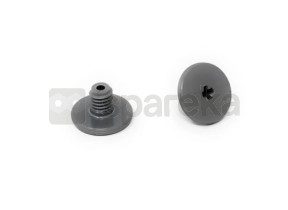 Vis de maintien silver *2 R0838800