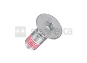 Vis m10x25 pour poulie de lave-linge 5191350270