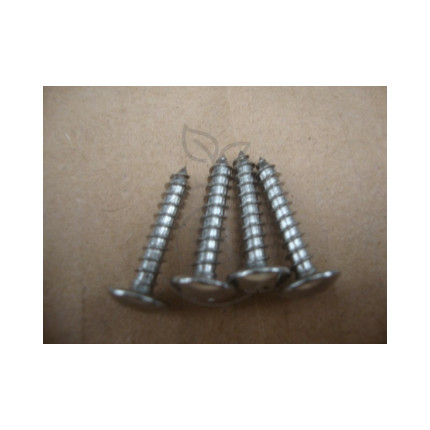 Vis autotaraudeuse cruciforme st430 chdl245-1