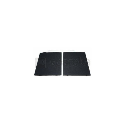 Filtre à charbon (typ31) - <span>484000008787</span>-2