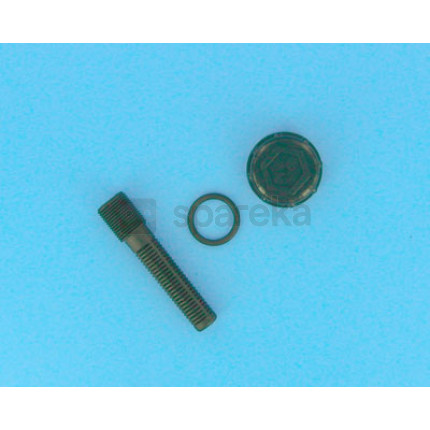 Vidange filtre à sable millenium / corona - (crépine + bouchon + joint) - <span>4404220103</span>